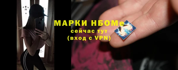 тгк Абаза