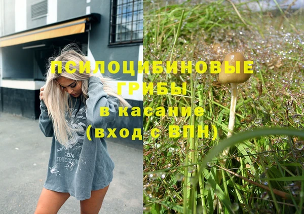 ПСИЛОЦИБИНОВЫЕ ГРИБЫ Абинск